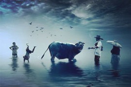 青浦注销公司代办，税务优惠助力企业轻松“转身”青浦注销公司代办电话